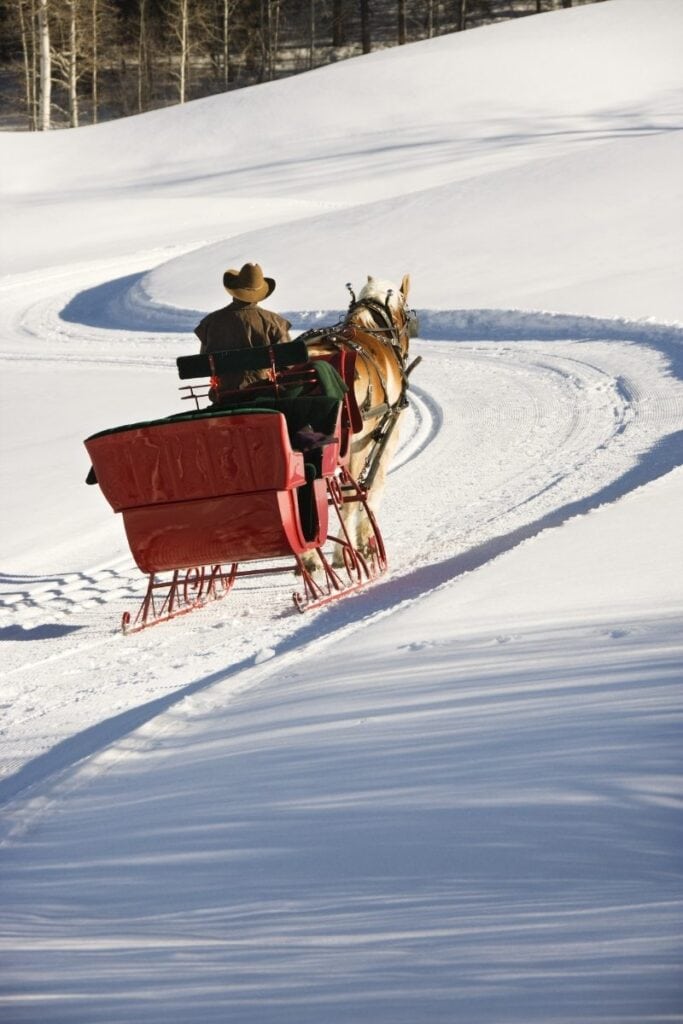 Horse and carriage ride