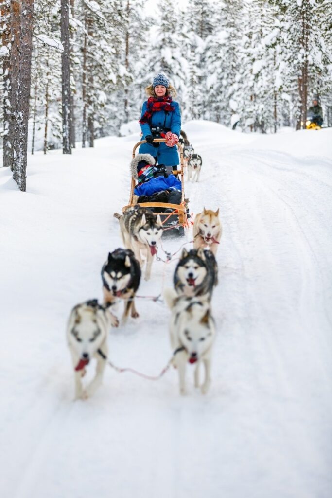 Husky sledding in Maine