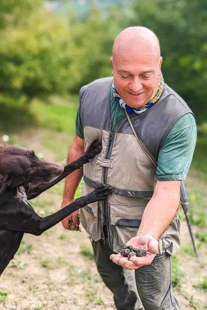 Truffle hunting in Acqualagna