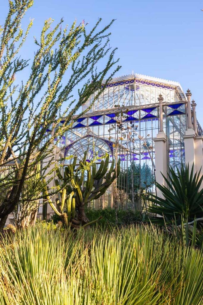 Adelaide Botanic Gardens palm house