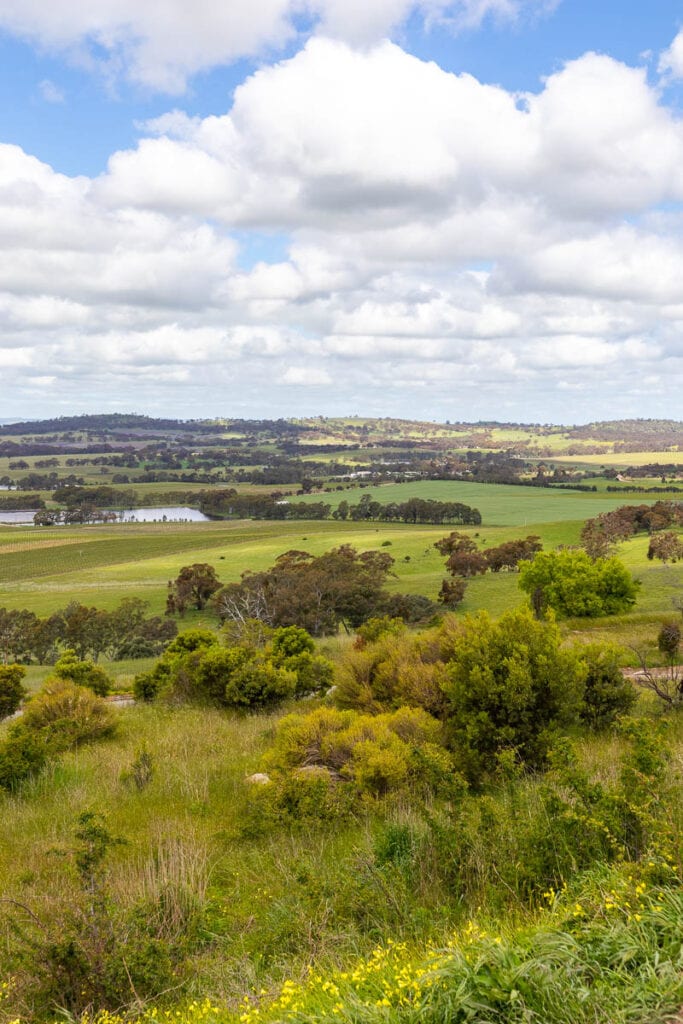 Clare Valley, South Australia