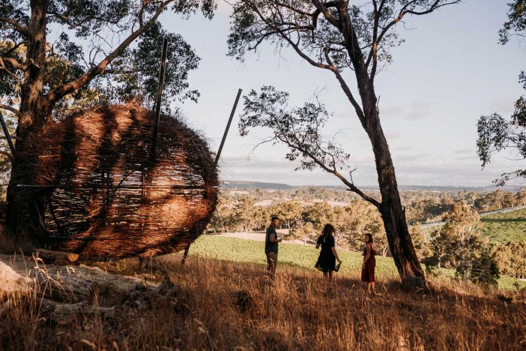 Adelaide food and wine experiences