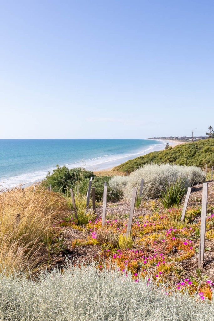 Beautiful beaches in South Australia