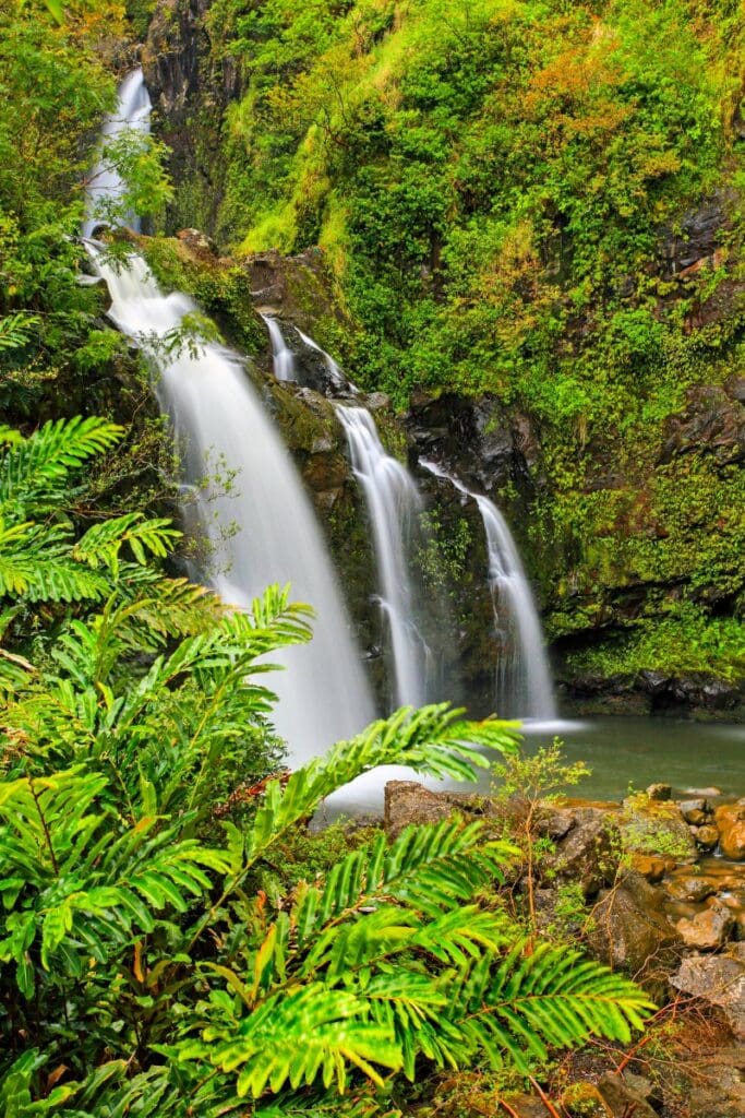 Upper Waikani Falls, Maui