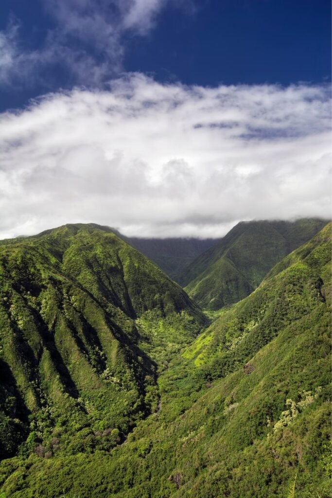 waihe’e Ridge Trail