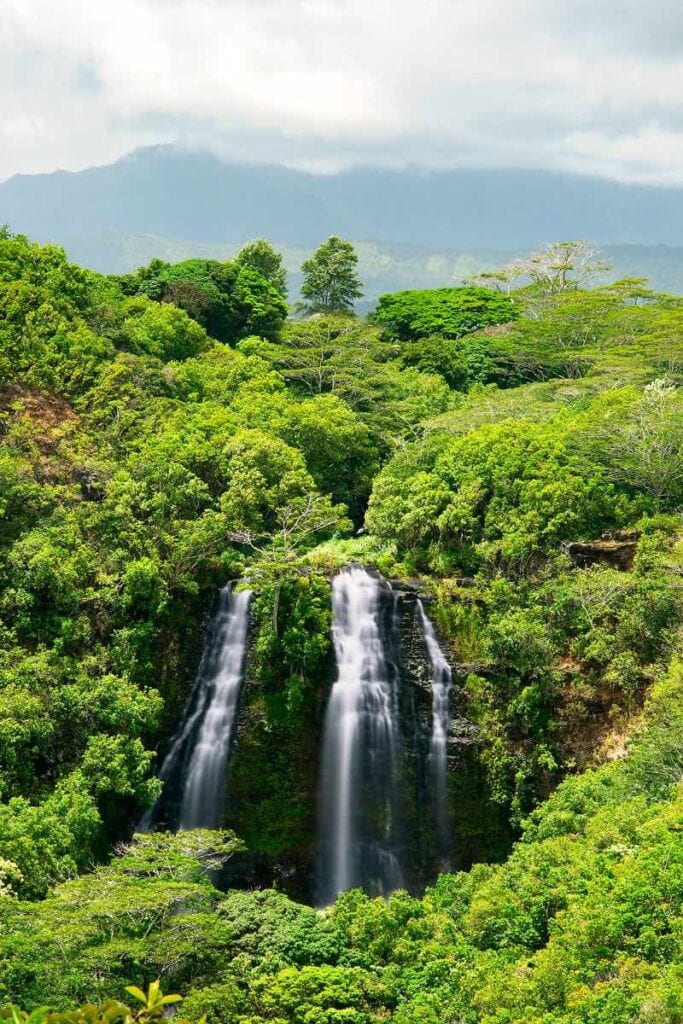 Opaekaa Falls, Kauai