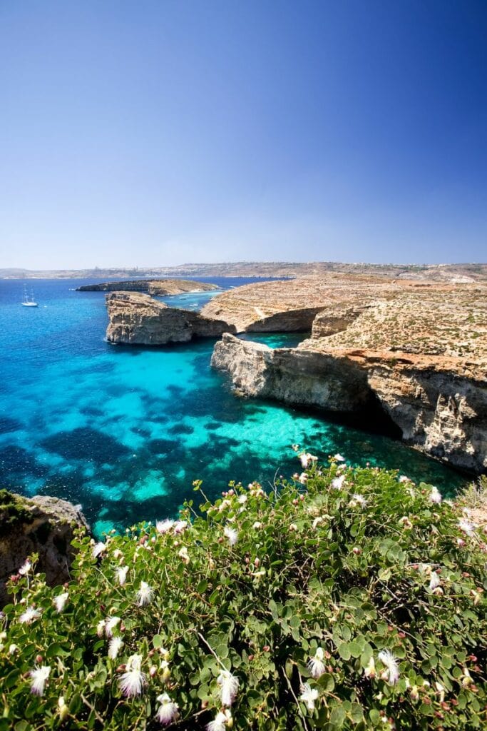 Gozo