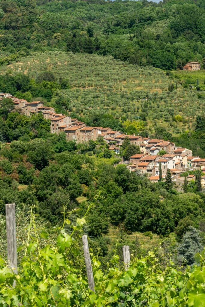 Collodi, Tuscany