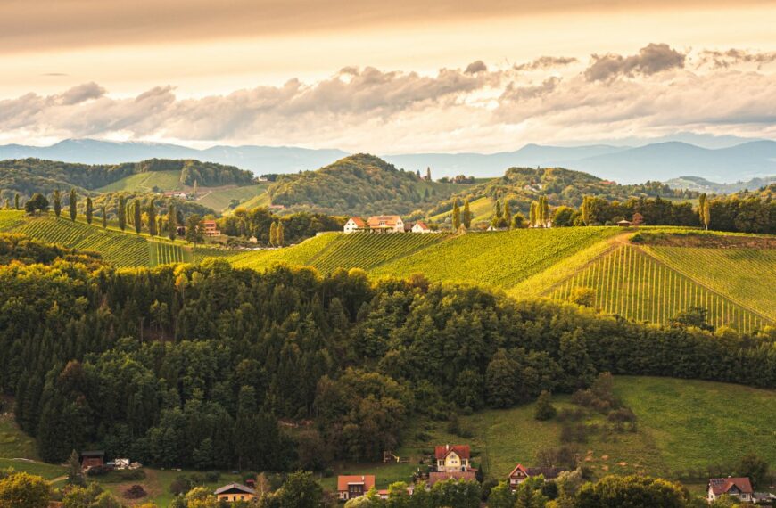 best vineyard hotels in Tuscany