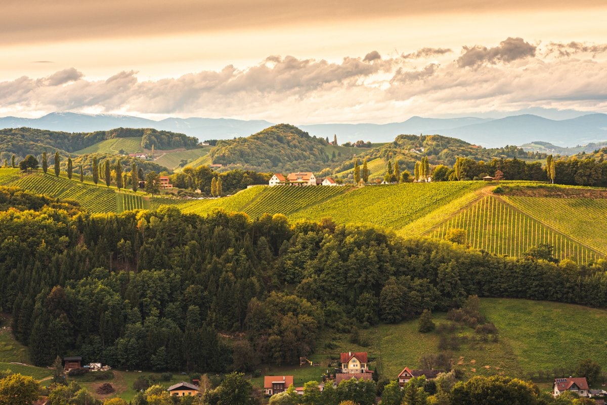 best vineyard hotels in Tuscany