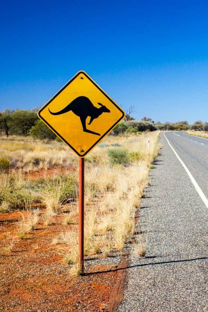 Watch out for the kangaroos!