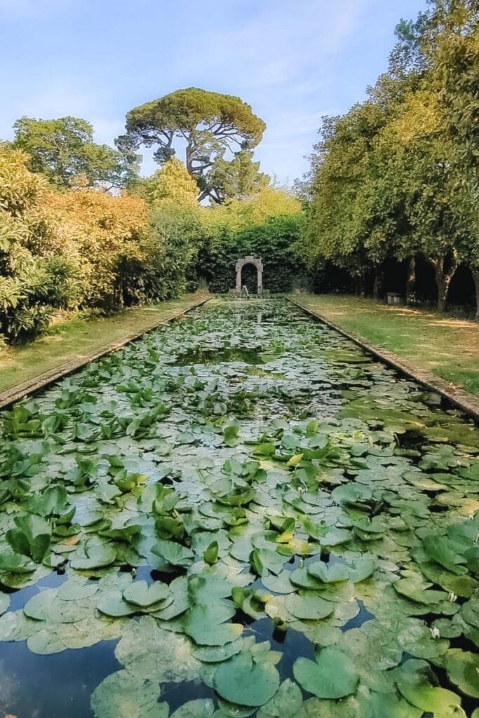 The lily pond at Athelhampton