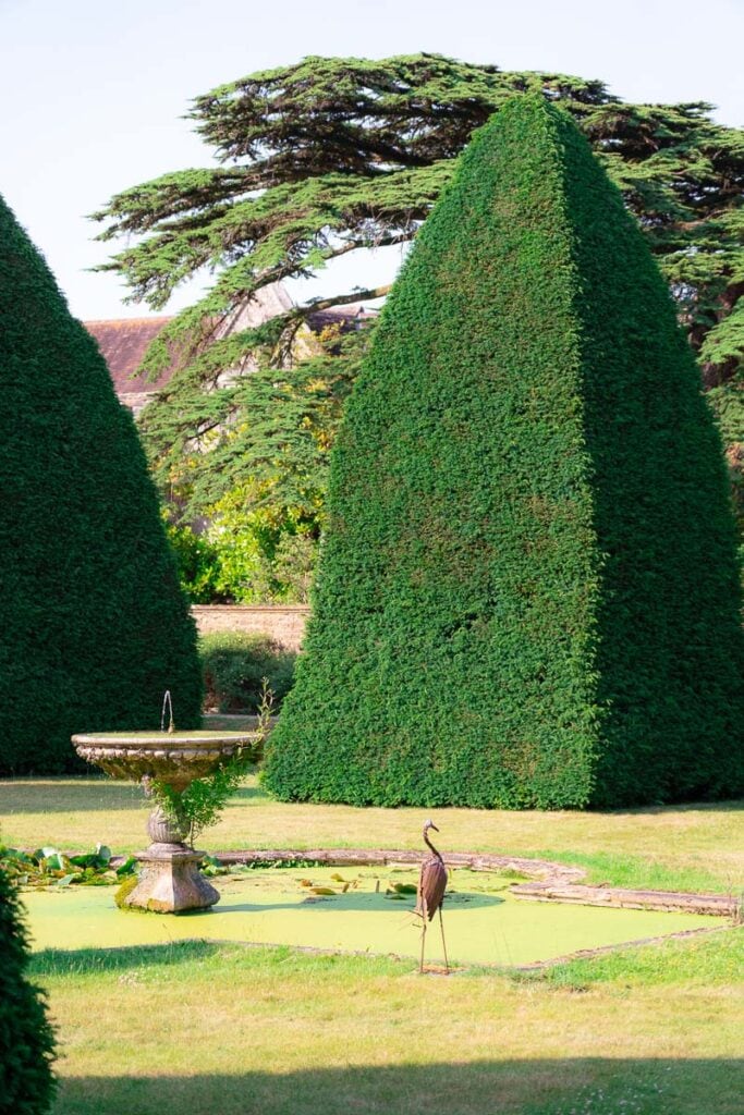 The impressive pyramid trees