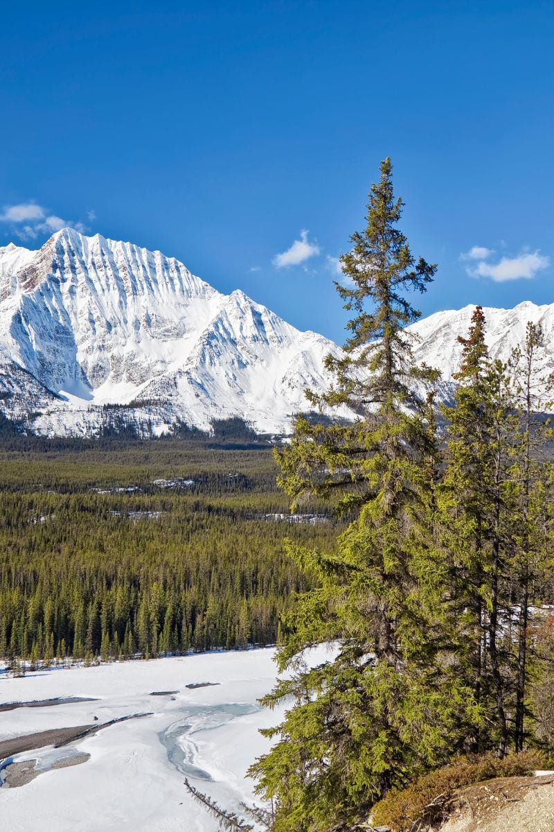 Where to Stay in Jasper, Canada 9 Best Hotels 2023 Guide