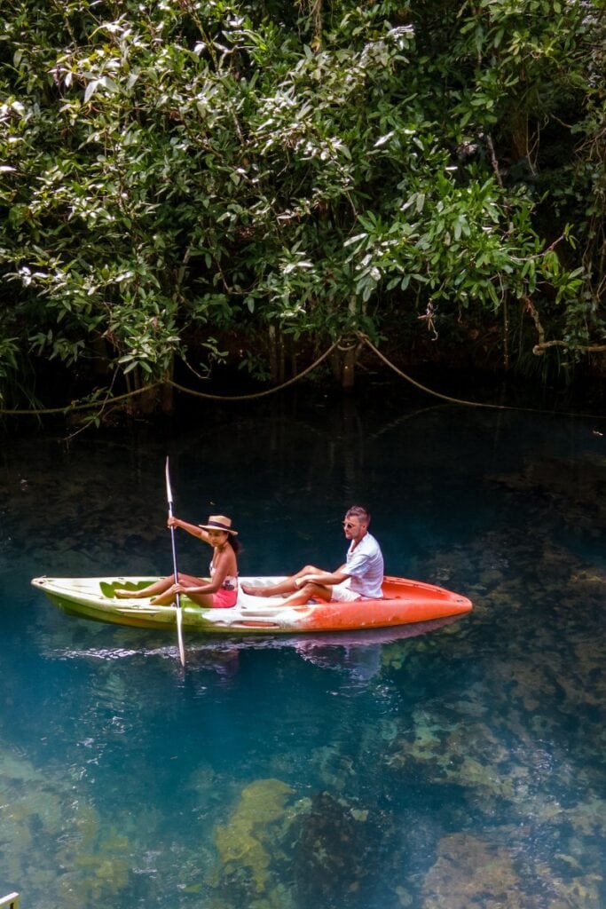 Kayaking in the mangroves