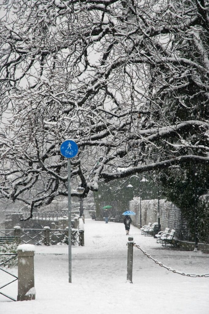 Lake Como in the snow