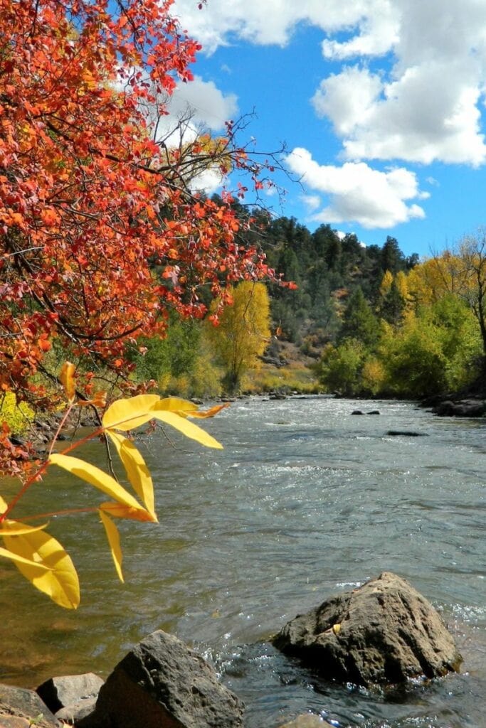 You can go fly fishing on the San Miguel River