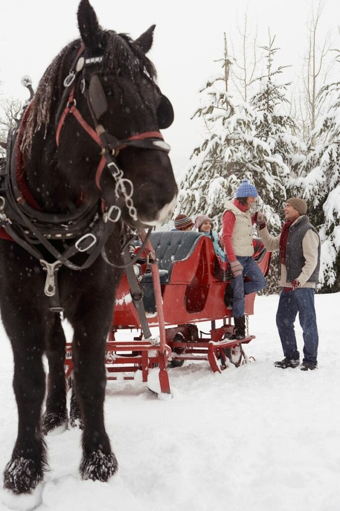 horse drawn carriage in the snow