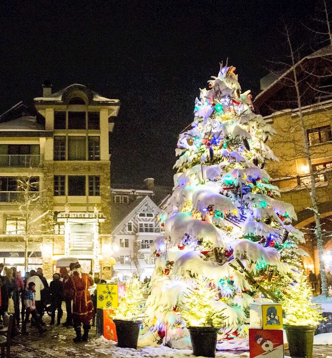 20 Amazing Things To Do In Telluride in Winter 2024/25 Guide