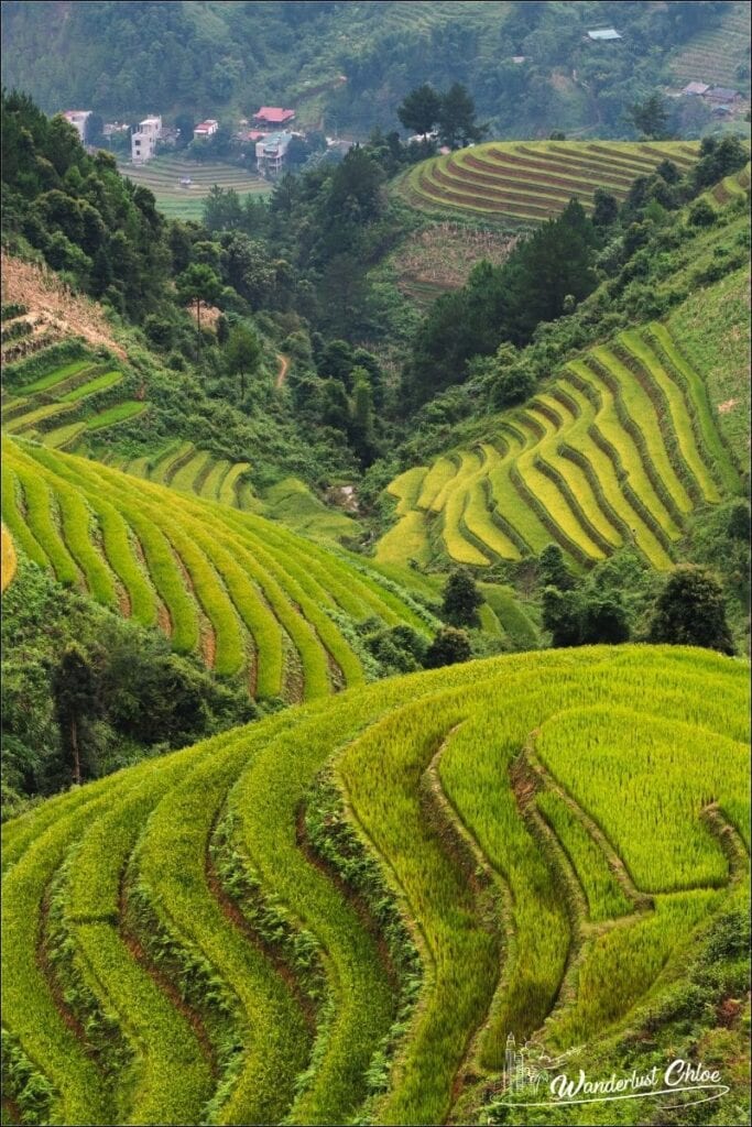 Sapa rice terraces Vietnam