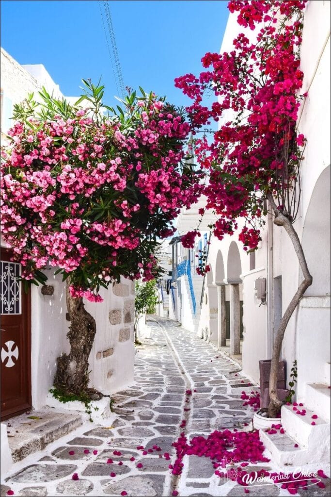 Paros