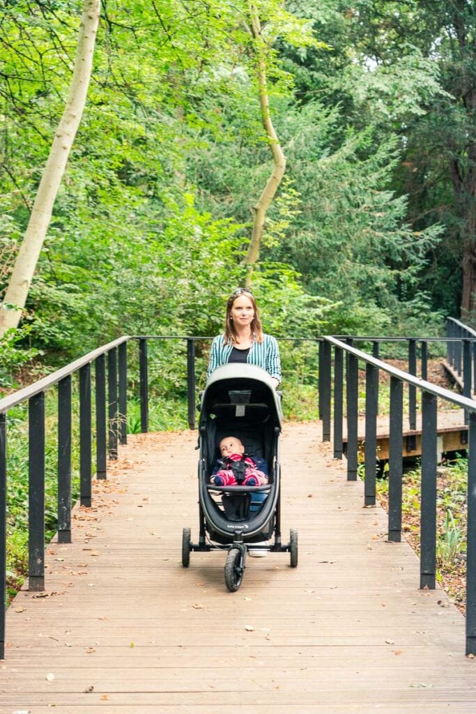 exploring woodland with our pushchair