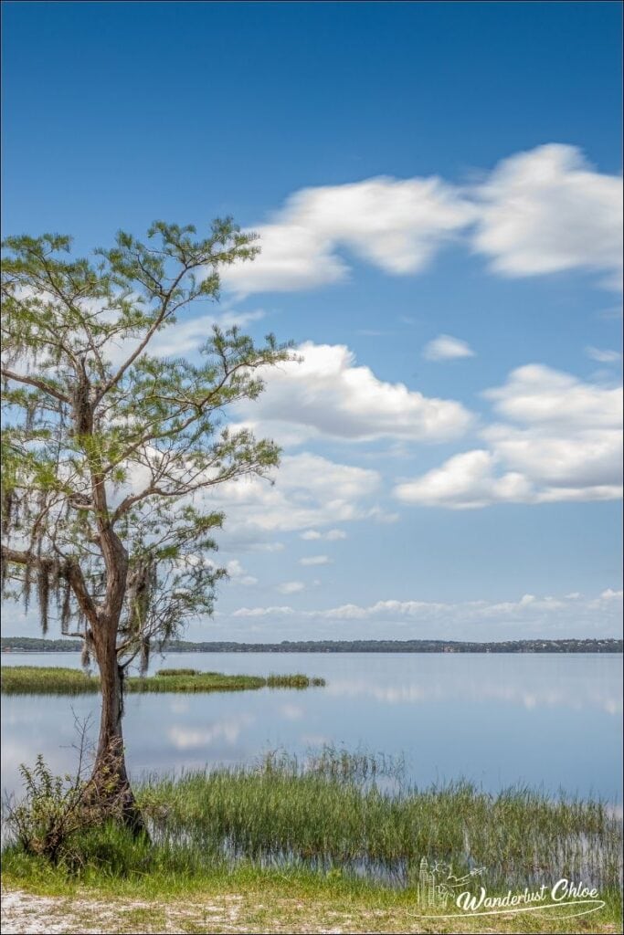 Lake Louisa State Park