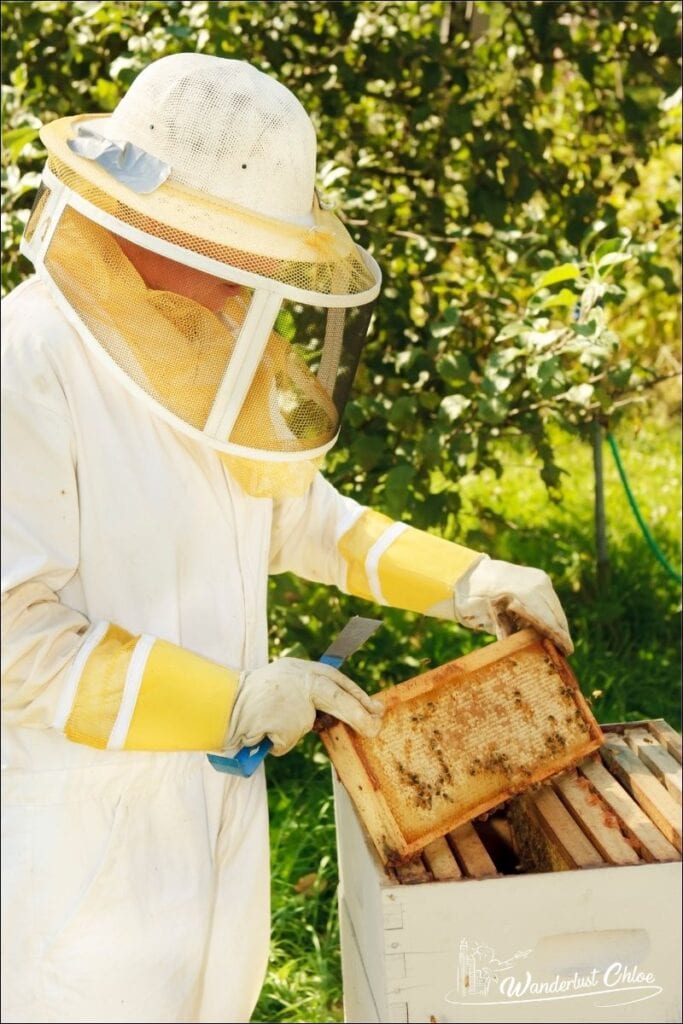 beekeeping