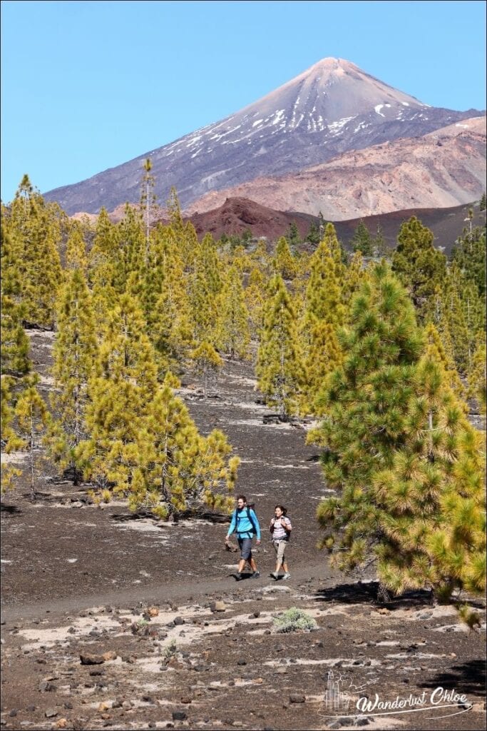 Hiking in Mount Teide Tenerife