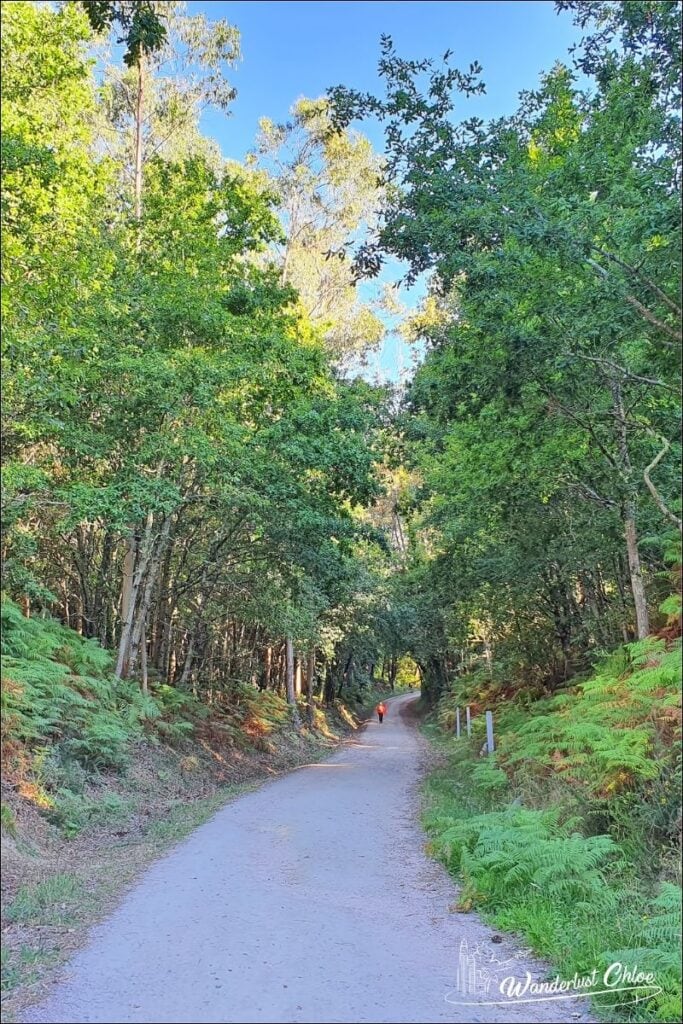 Walkers on the Camino Portugues