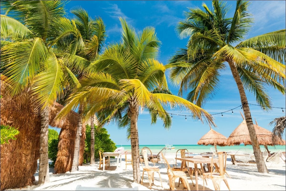 best beach clubs in isla holbox