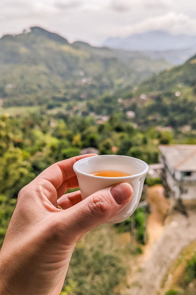 tea plantation tour in Ella