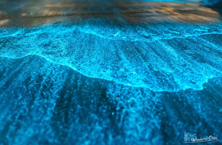 isla holbox bioluminescence tour