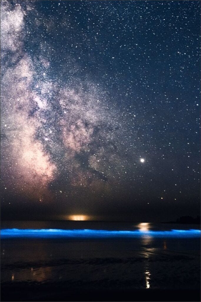 isla holbox bioluminescence tours