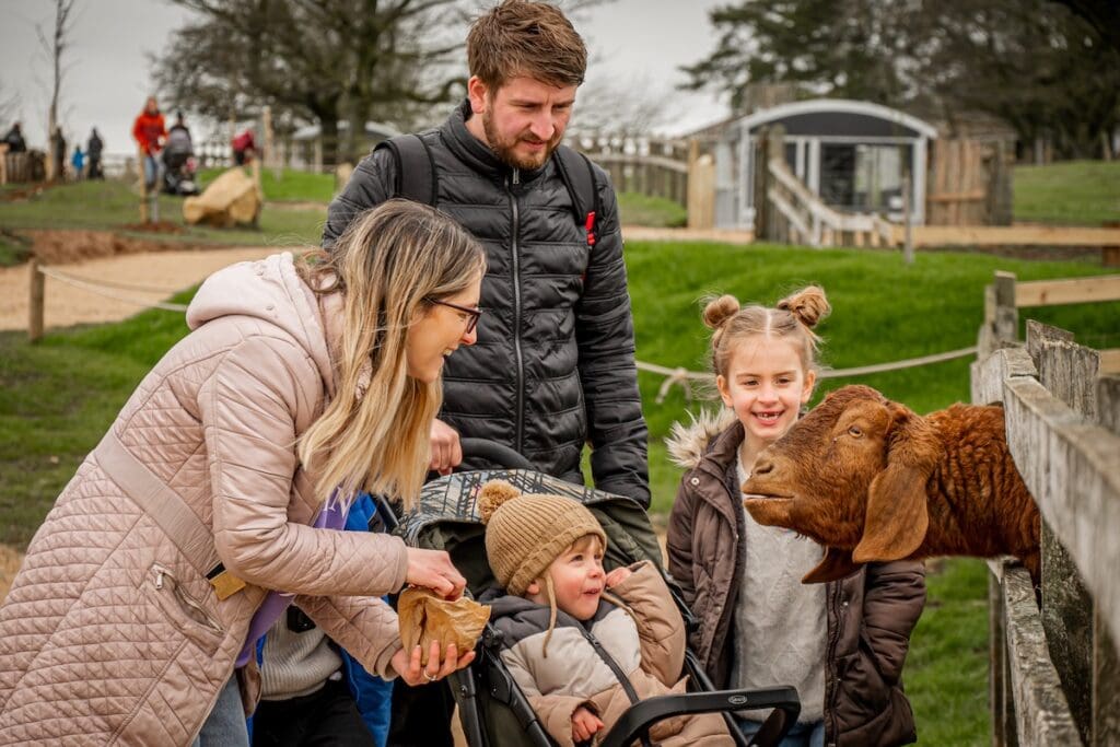 Cotswold Farm Park