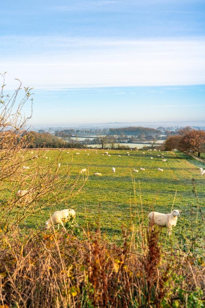 Cotswolds views