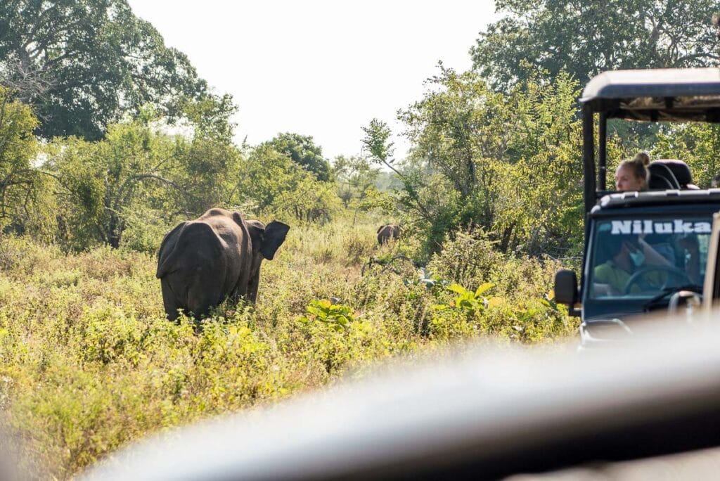 safari jeeps in sri lanka