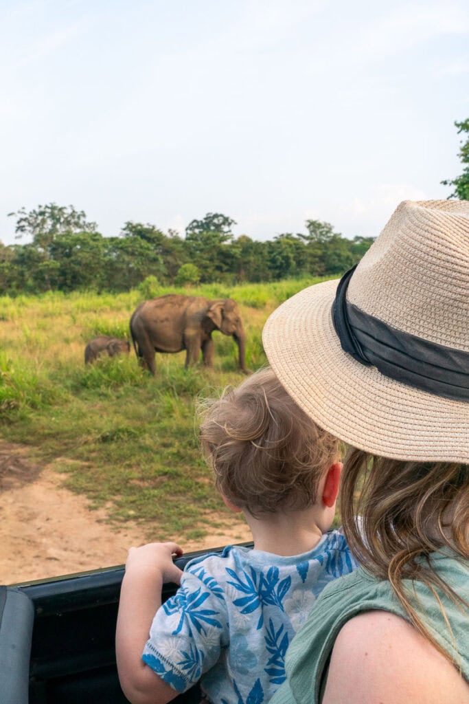 sri lanka jeep safari with kids