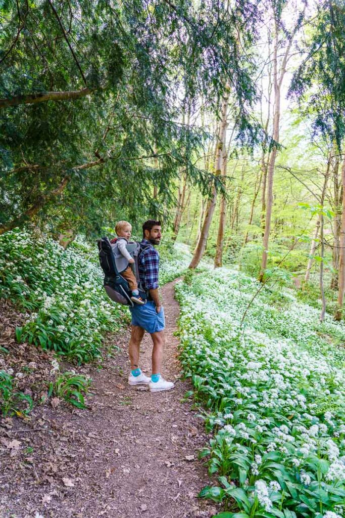 Beautiful walks in Durham