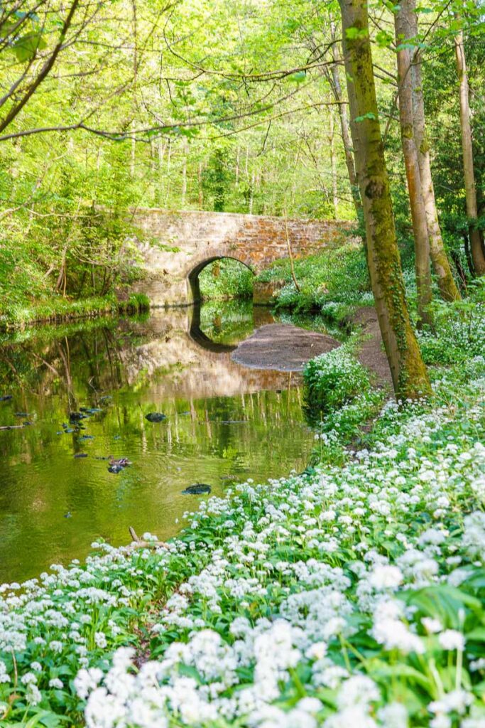 lumley castle walk