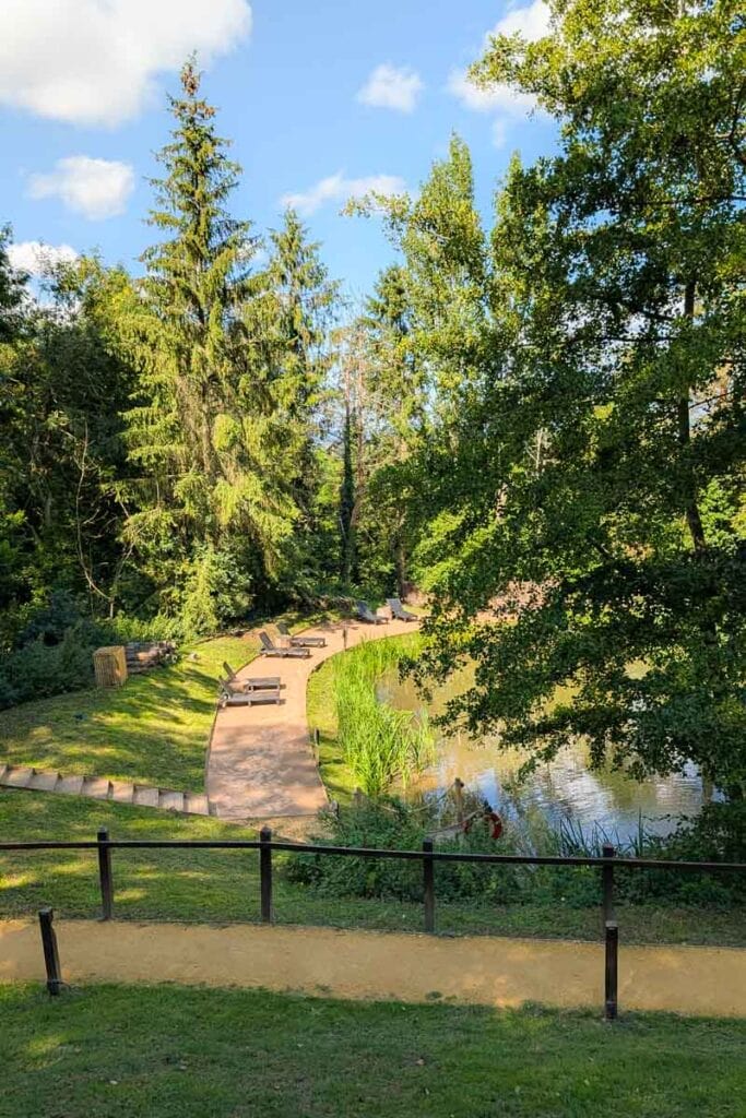 tvenkinys prie žuvies