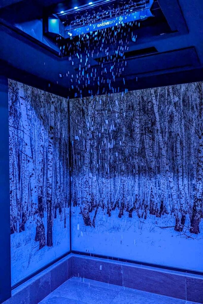 Bendrabučio namo sniegas