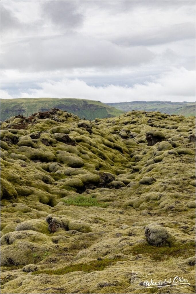 Eldhrauno lavos laukas, Islandija