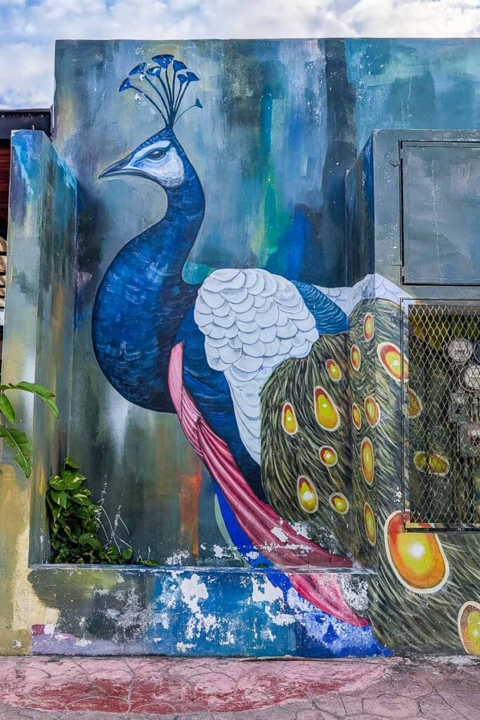 Bacalar street art is everywhere