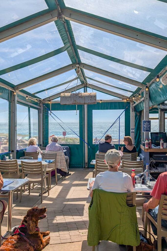Hive Beach Cafe view