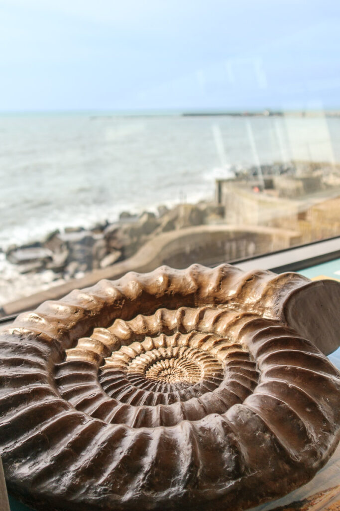 Lyme Regis Museum view