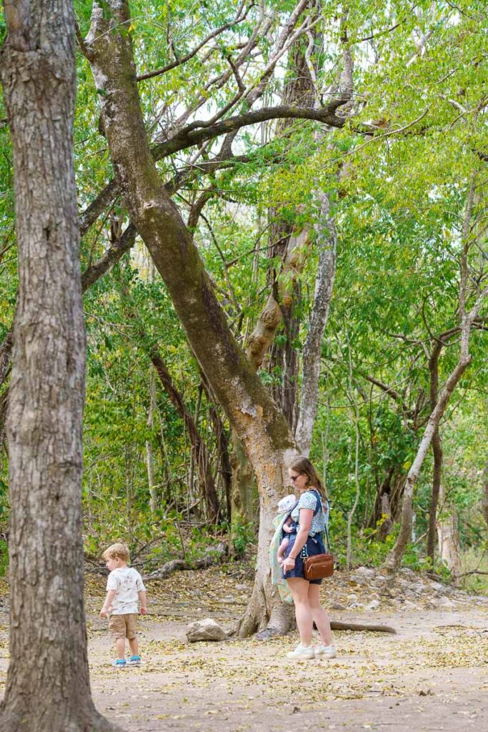 Mexican jungle with kids