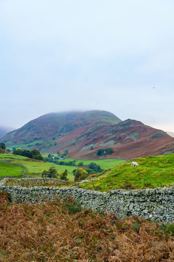 Lake District views