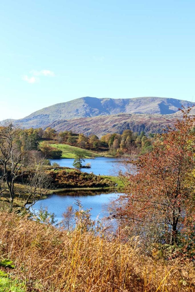 tarn hows view